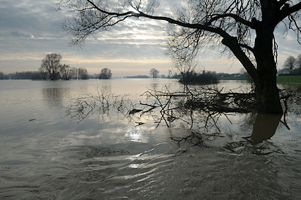 IJssel
