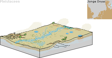 Een laatste zeer koude periode was het Jonge Dryas