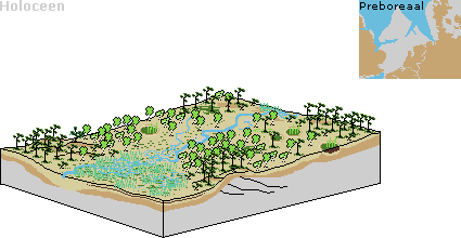 Het landschap raakt weer begroeid