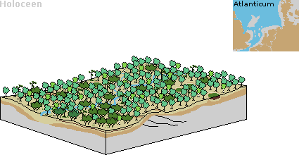 In het Atlanticum was het landschap bedekt met uitgestrekte bossen