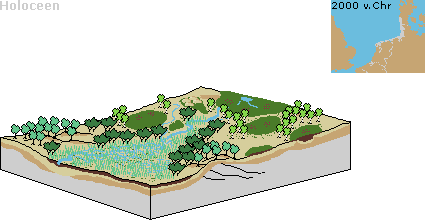Het landschap wordt natter door zeespiegelstijging, veengroei komt op gang
